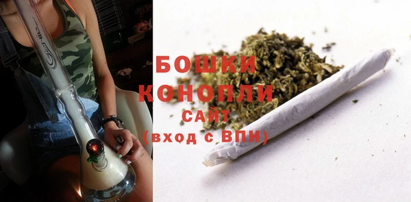 гидропоника Переславль-Залесский