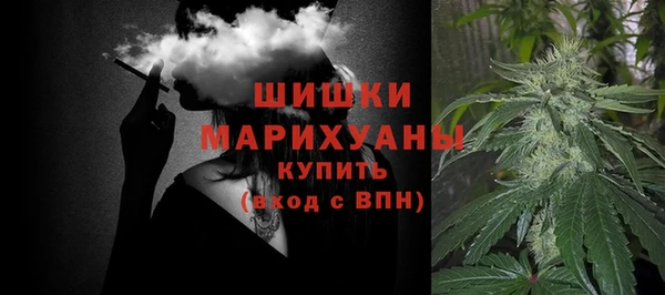 мдпв Пестово