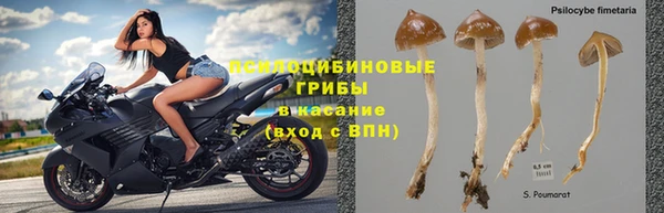 мдпв Пестово