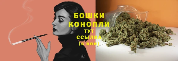 мдпв Пестово
