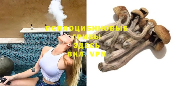 мдпв Пестово
