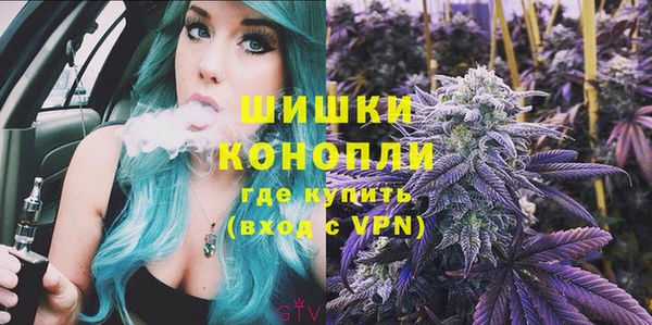 мдпв Пестово